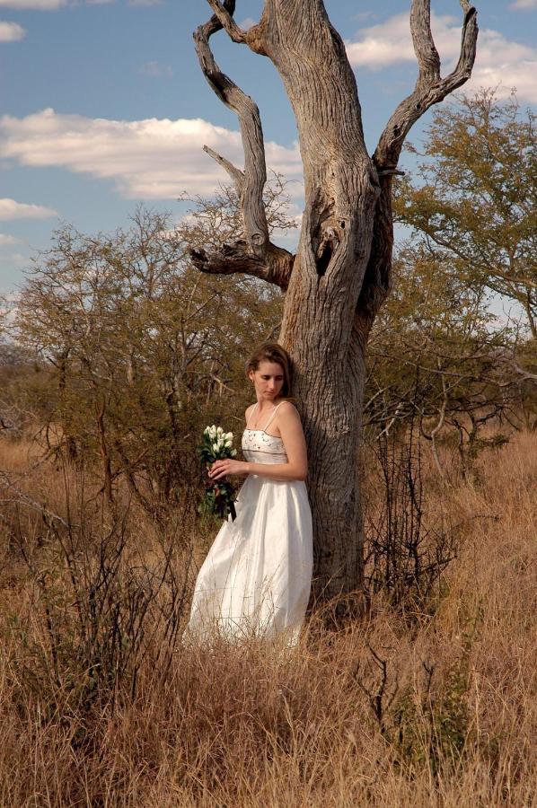 Madikwe Hills Private Game Lodge 马迪克韦狩猎保护区 外观 照片