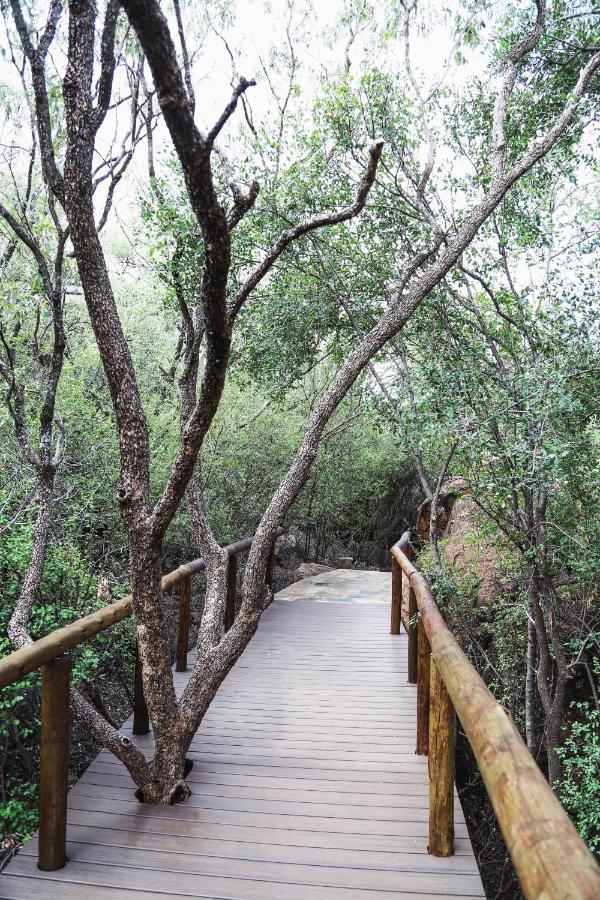 Madikwe Hills Private Game Lodge 马迪克韦狩猎保护区 外观 照片