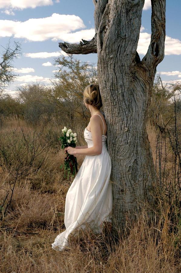 Madikwe Hills Private Game Lodge 马迪克韦狩猎保护区 外观 照片