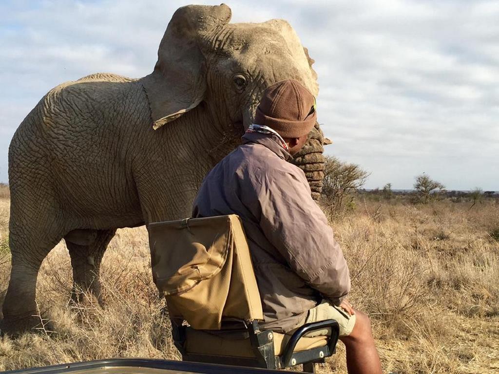 Madikwe Hills Private Game Lodge 马迪克韦狩猎保护区 外观 照片